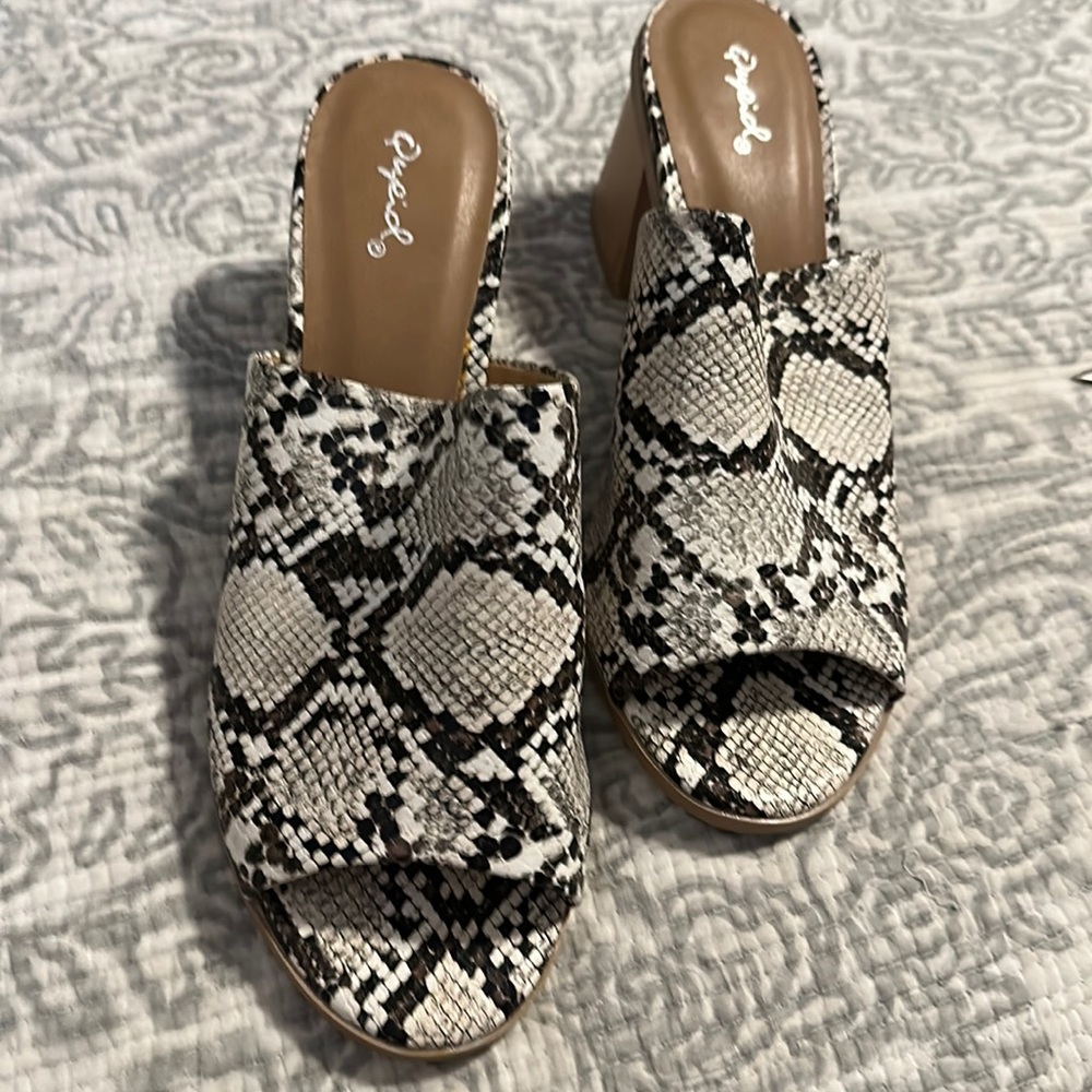 Snake skin mule that has never been worn.